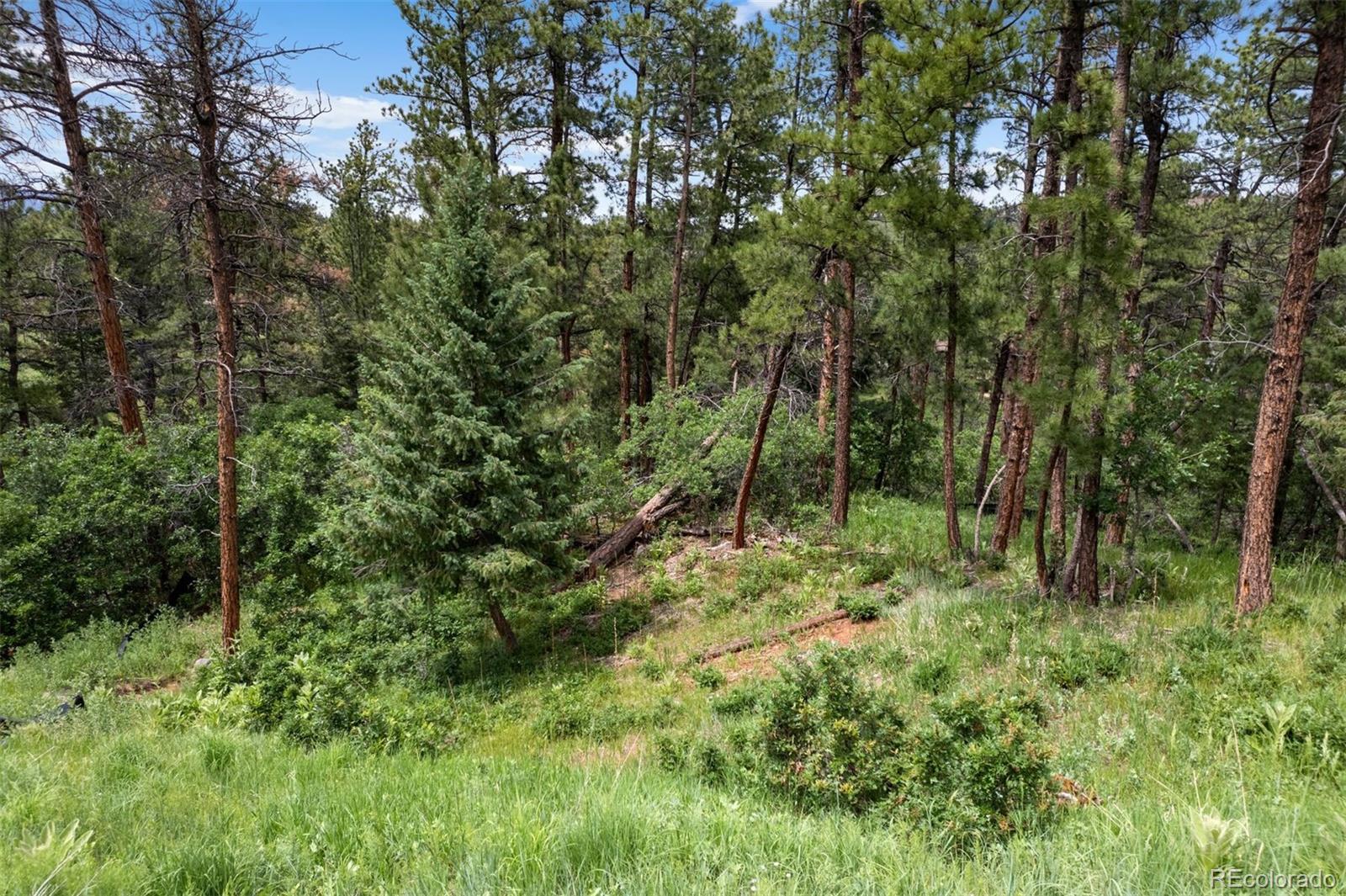 8058 Inca Road Larkspur, CO 80118 - Photo 5 of 6 a backyard of a house with lots of green space