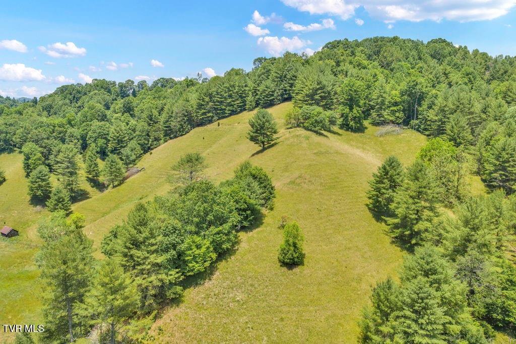 150 Fred Price Road Mountain City, TN 37683 - Photo 11 of 35 12