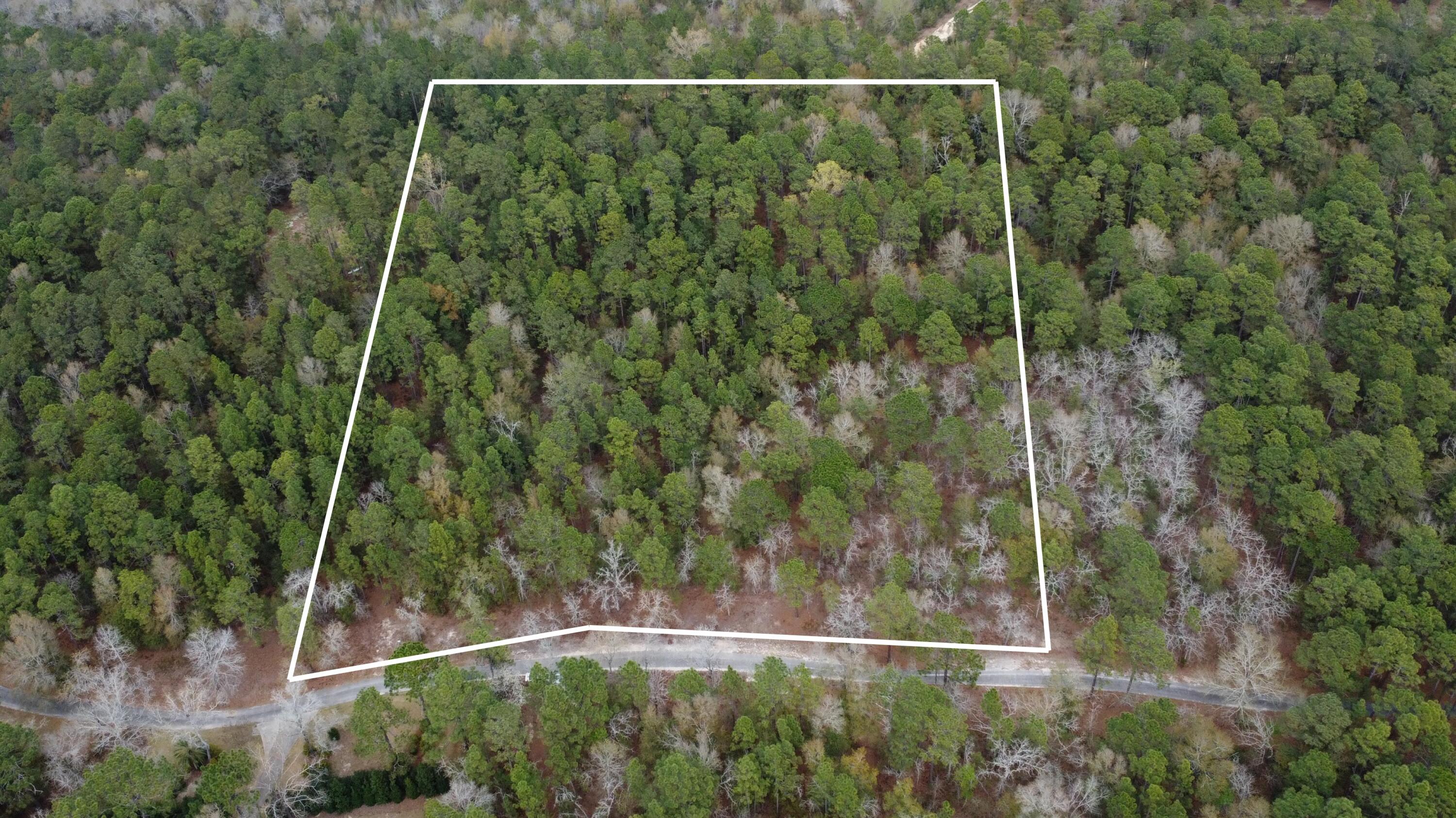 0 Edisto Lake Road Wagener, SC 29164 - Photo 1 of 14 1