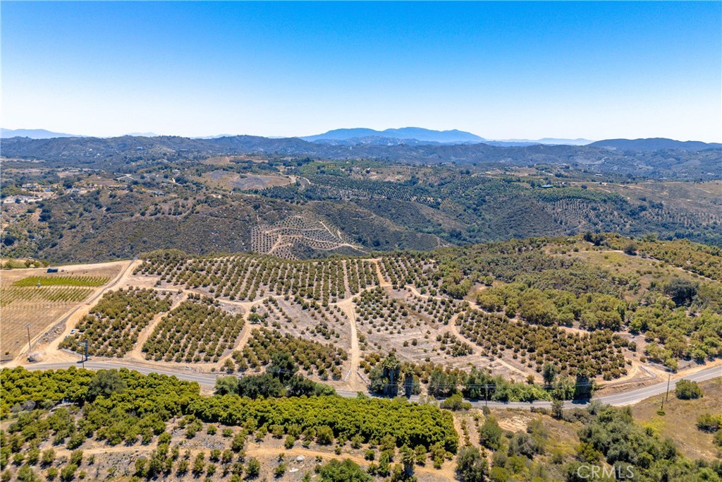 2526 Camaron Road Temecula, CA 92590 - Photo 3 of 34 Aerial of the avocado grove showing gentle topograhy.