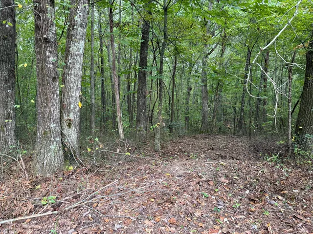 $58,000 | Lot 3 Tipple Road, Unit 3, Tracy City, TN 37387