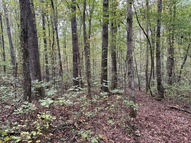 $58,000 | Lot 3 Tipple Road, Unit 3, Tracy City, TN 37387