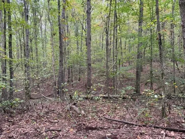 $58,000 | Lot 3 Tipple Road, Unit 3, Tracy City, TN 37387