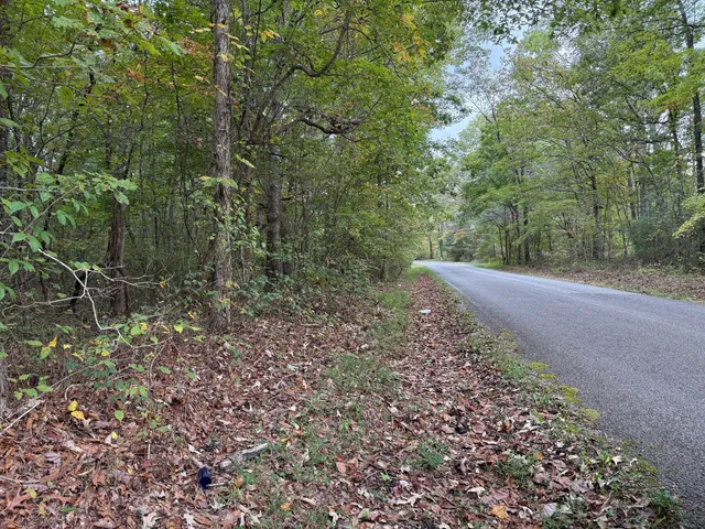 $58,000 | Lot 3 Tipple Road, Unit 3, Tracy City, TN 37387