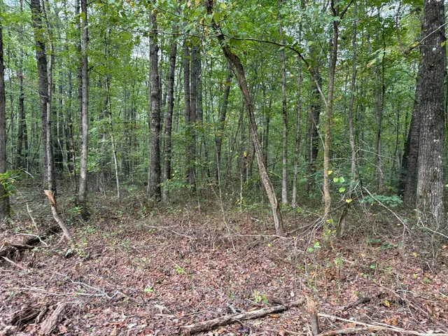 $58,000 | Lot 3 Tipple Road, Unit 3, Tracy City, TN 37387