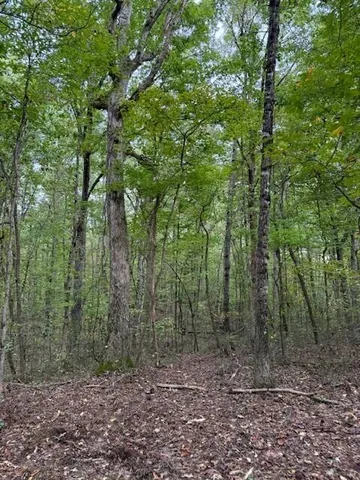 $58,000 | Lot 3 Tipple Road, Unit 3, Tracy City, TN 37387