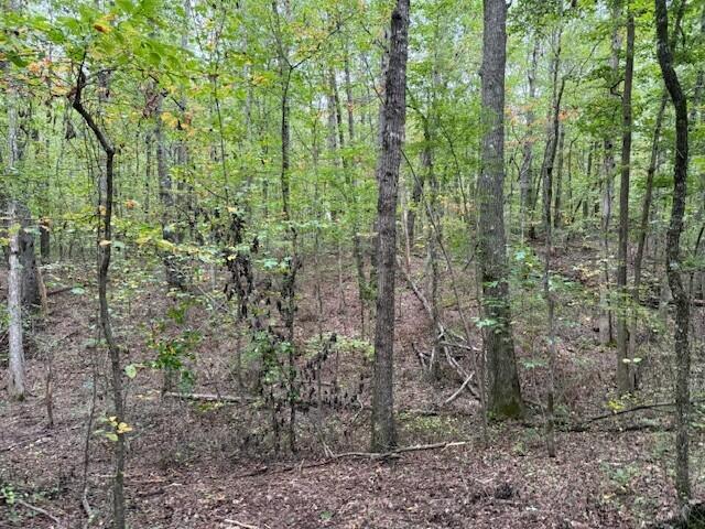 Lot 3 Tipple Road, Unit 3 Tracy City, TN 37387 - Photo 5 of 18 7