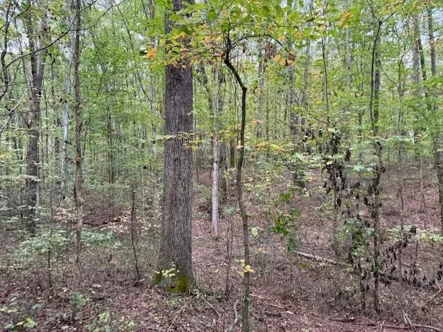 $58,000 | Lot 3 Tipple Road, Unit 3, Tracy City, TN 37387