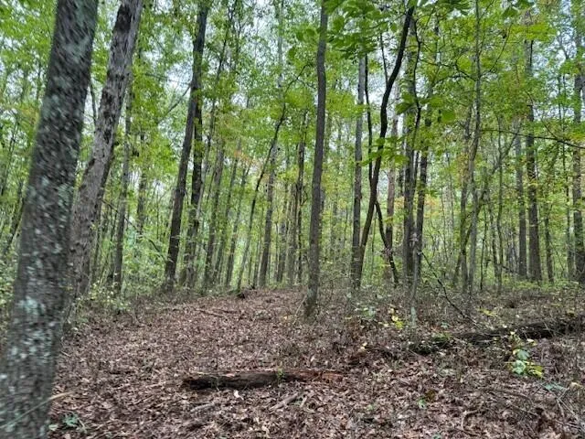 $58,000 | Lot 3 Tipple Road, Unit 3, Tracy City, TN 37387