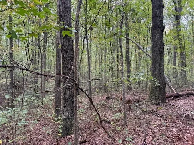 $58,000 | Lot 3 Tipple Road, Unit 3, Tracy City, TN 37387