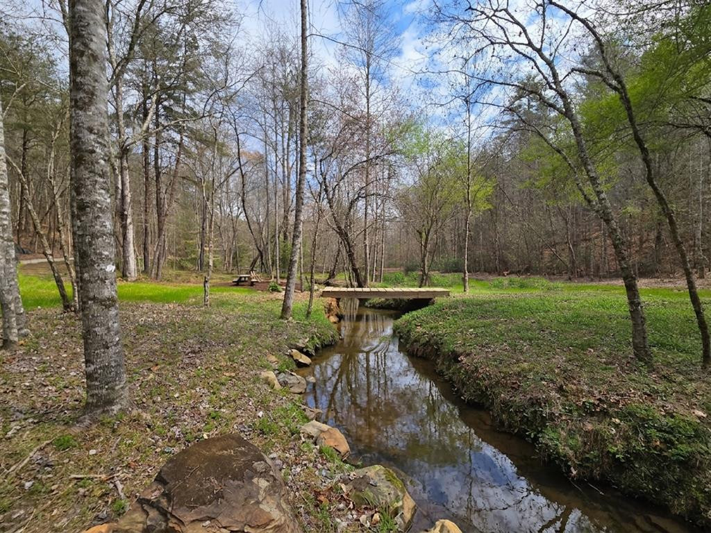342 Hunter Ridge Murphy, NC 28906 - Photo 28 of 81 Foot bridge over the creek