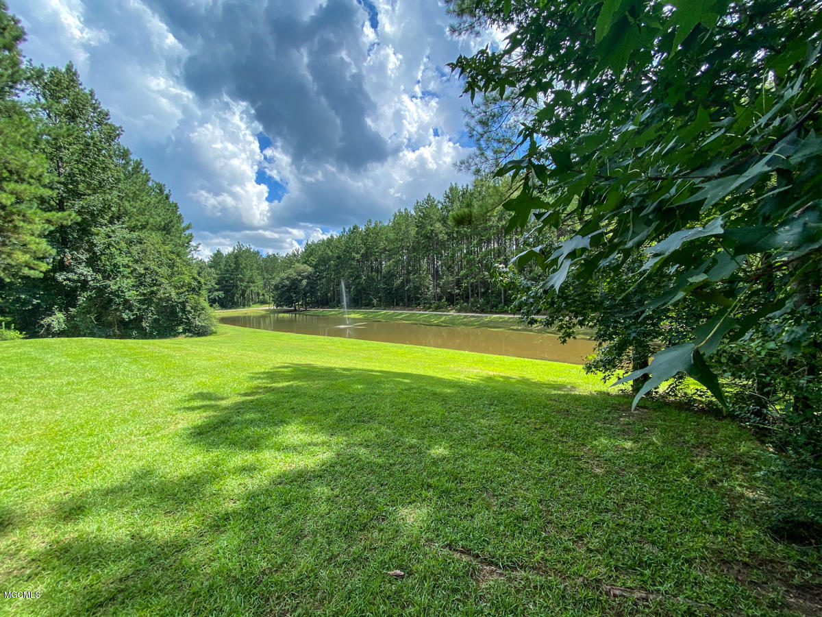 159 Steve Williams Road Lucedale, MS 39452 - Photo 35 of 38 IMG_6360