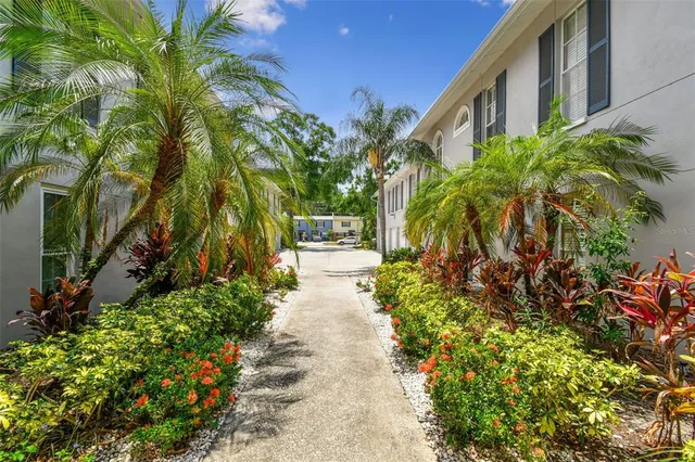 a view of a pathway with plants and large trees