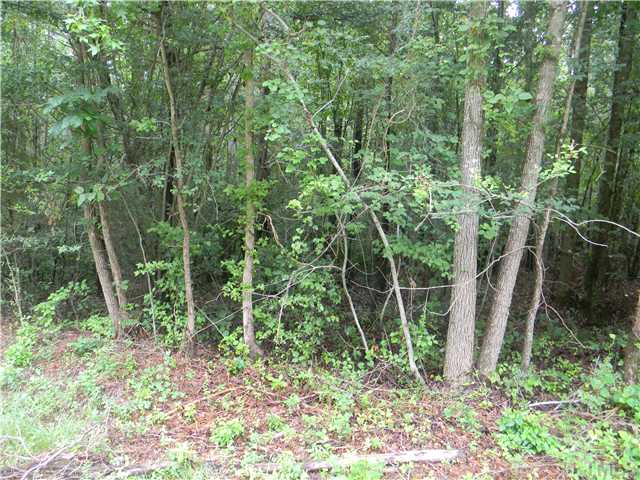 0 Chicken Bridge Road, Unit A Pittsboro, NC 27312 - Photo 1 of 2 Gallery Image 1