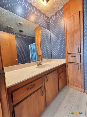 a bathroom with a sink and a shower