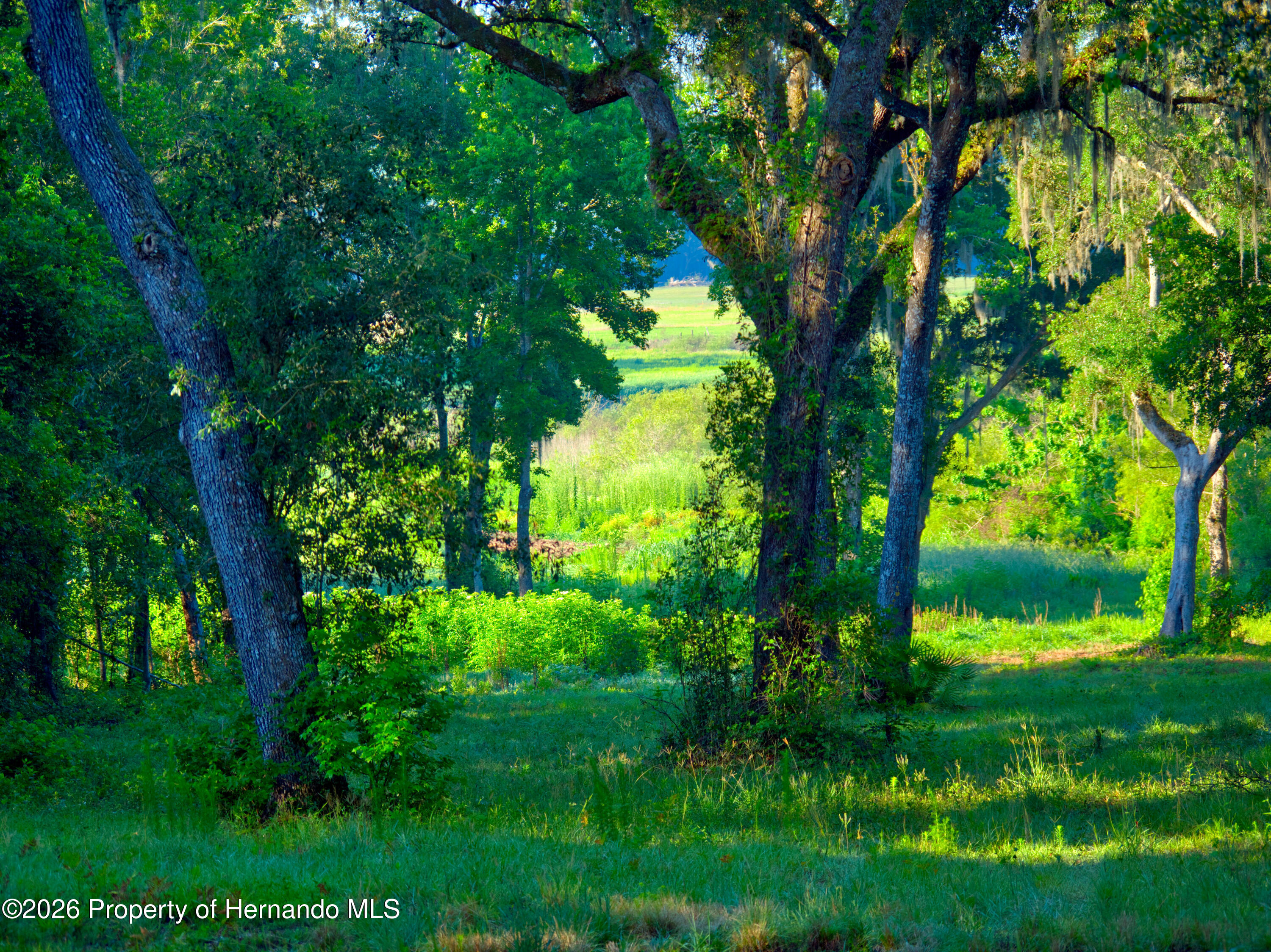 3267 Neff Lk Road Brooksville, FL 34602 - Photo 34 of 82