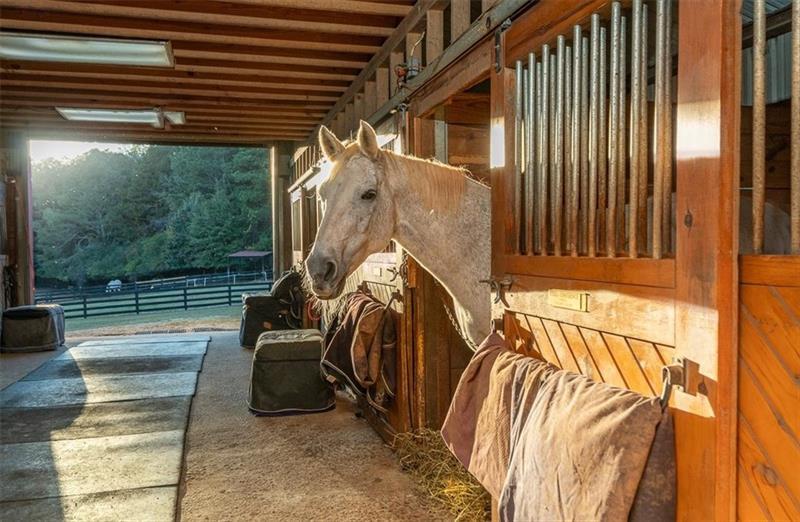 3055 A Spring Hill Drive Monroe, GA 30656 - Photo 50 of 65 a view of walk in closet with clothes and shoes