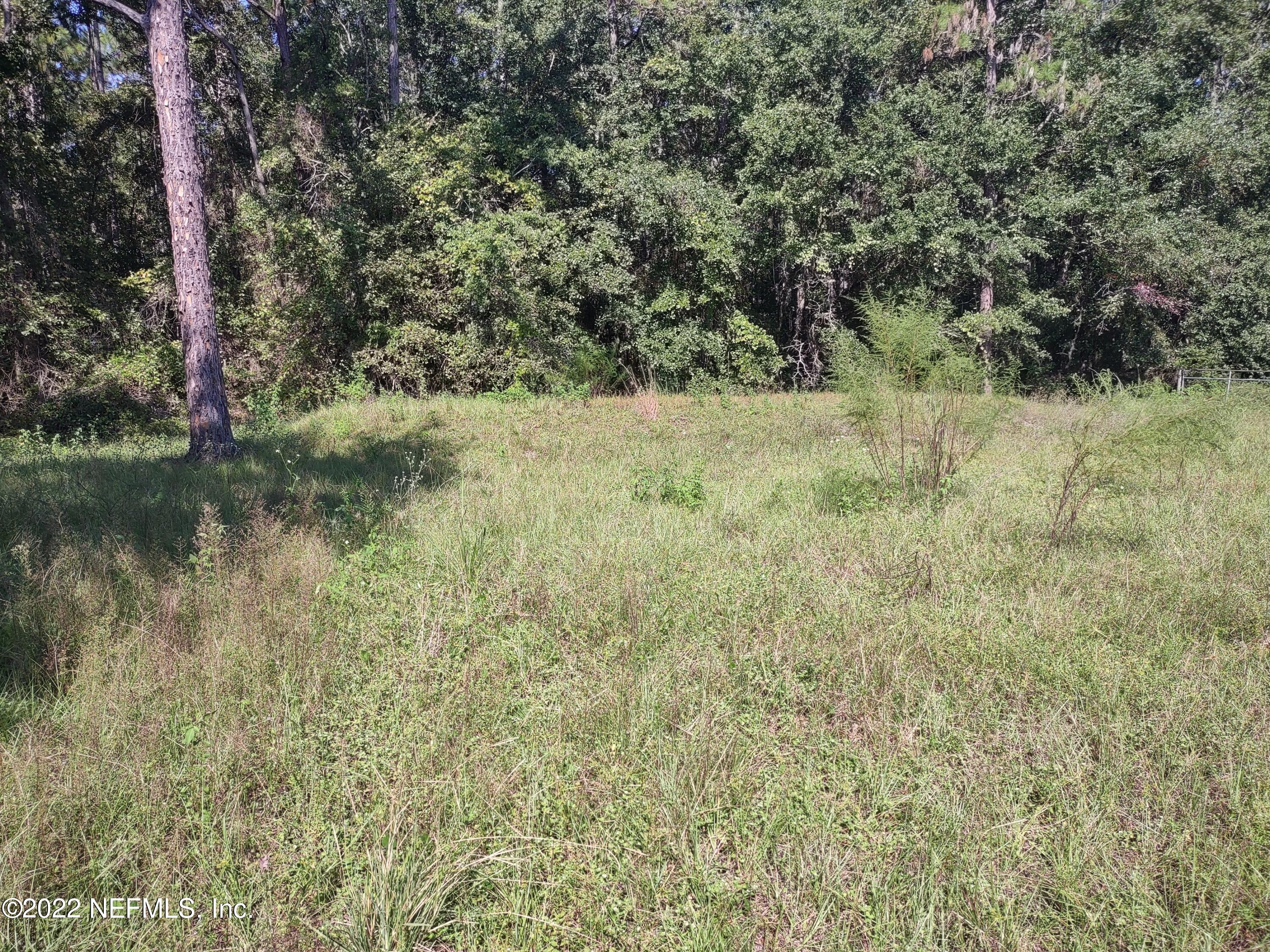 2268 D E Long Road Macclenny, FL 32063 - Photo 3 of 14 a view of a yard with a tree