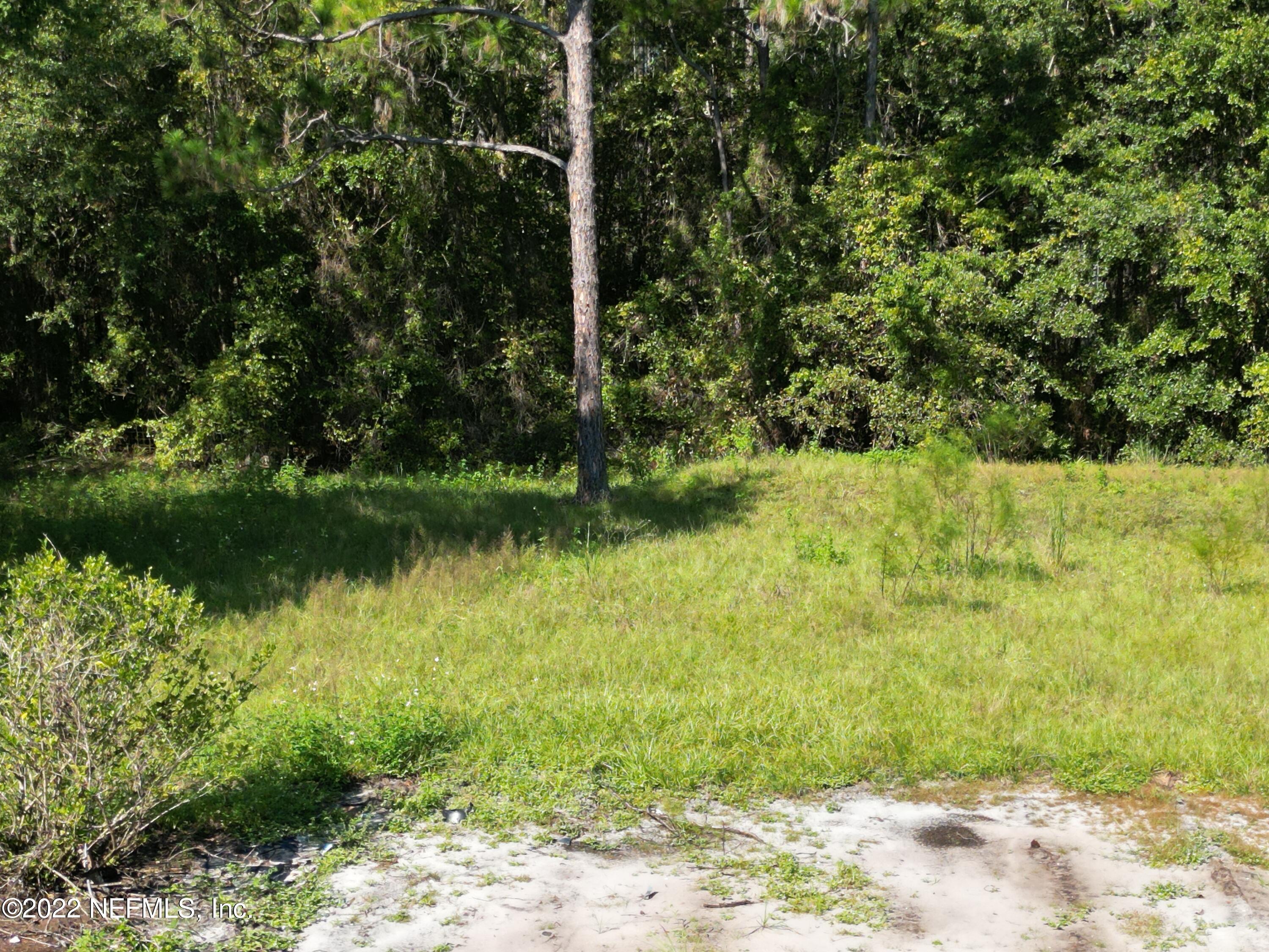 2268 D E Long Road Macclenny, FL 32063 - Photo 6 of 14 a view of a yard with plants