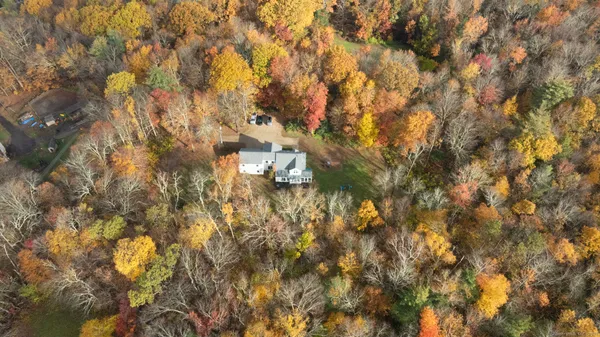 a backyard of a house with lots of trees