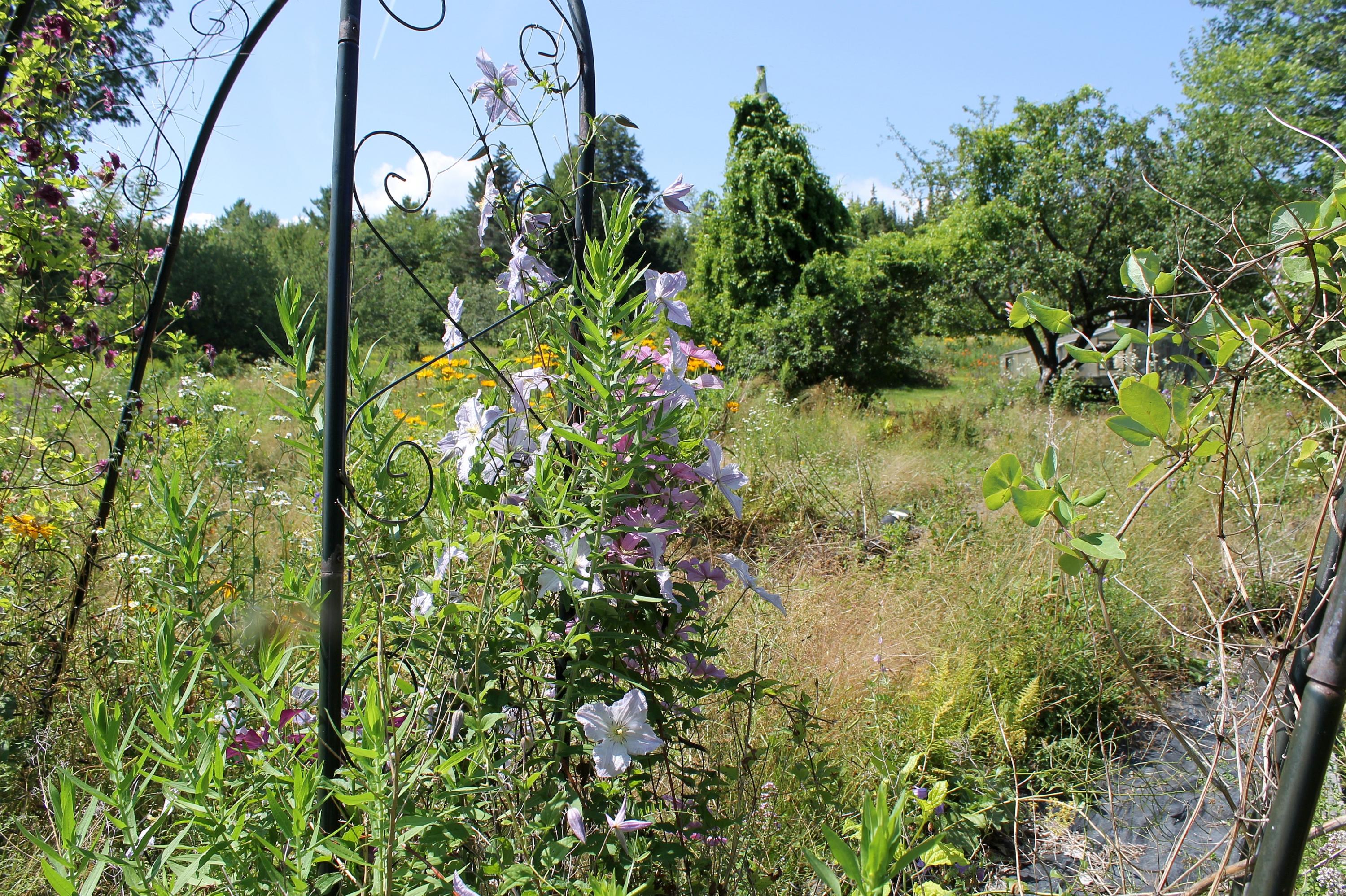 96 Seekins Road Searsport, ME 04974 - Photo 34 of 38 Clematis