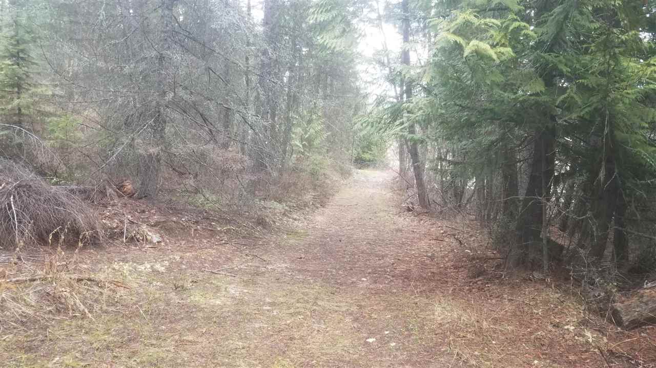 133 Anderson Road Kettle Falls, WA 99141 - Photo 13 of 15 Gallery Image 13