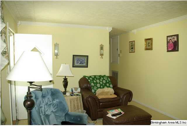 234 Old Hannah Road Leeds, AL 35094 - Photo 8 of 25 Gallery Image 8