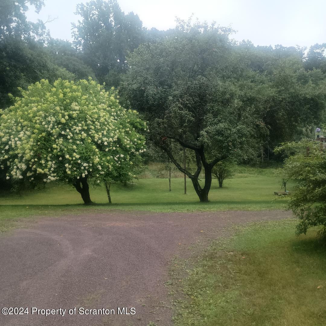 2 Sawmill Road Hunlock Creek, PA 18621 - Photo 11 of 22 a view of a yard with a tree