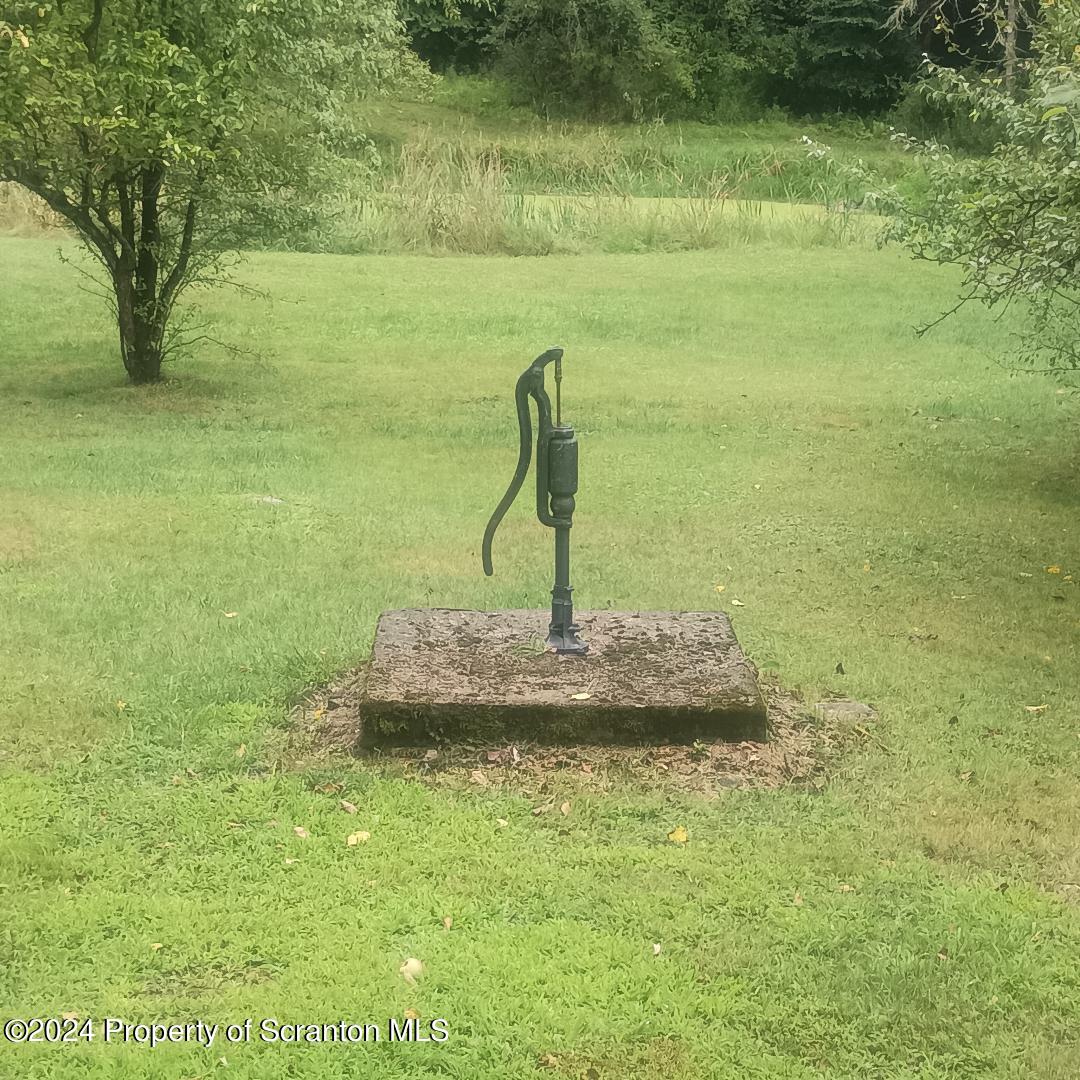 2 Sawmill Road Hunlock Creek, PA 18621 - Photo 15 of 22 a view of a garden