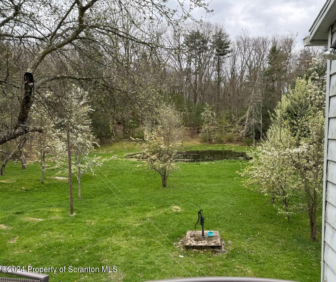 2 Sawmill Road Hunlock Creek, PA 18621 - Photo 21 of 22 a garden view with a fountain