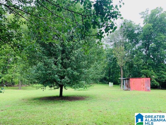 6002 Slasham Road Gadsden, AL 35907 - Photo 18 of 27