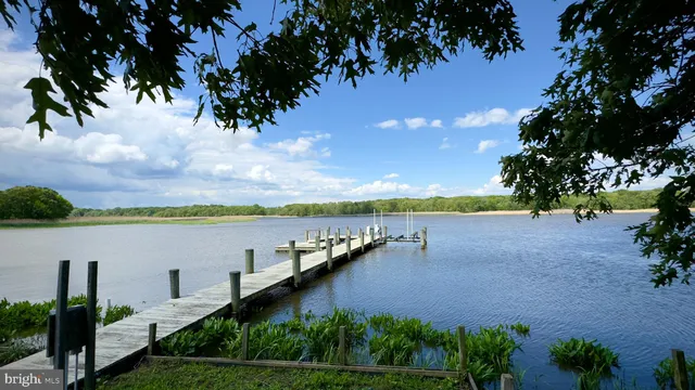 a view of a lake with a garden