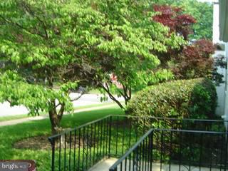 236 Rambling Way Springfield, PA 19064 - Photo 5 of 6