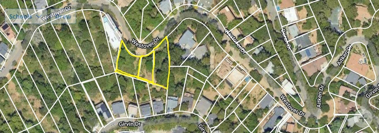 3 Westover Drive Oakland, CA 94603 - Photo 6 of 13 a close up of a plant