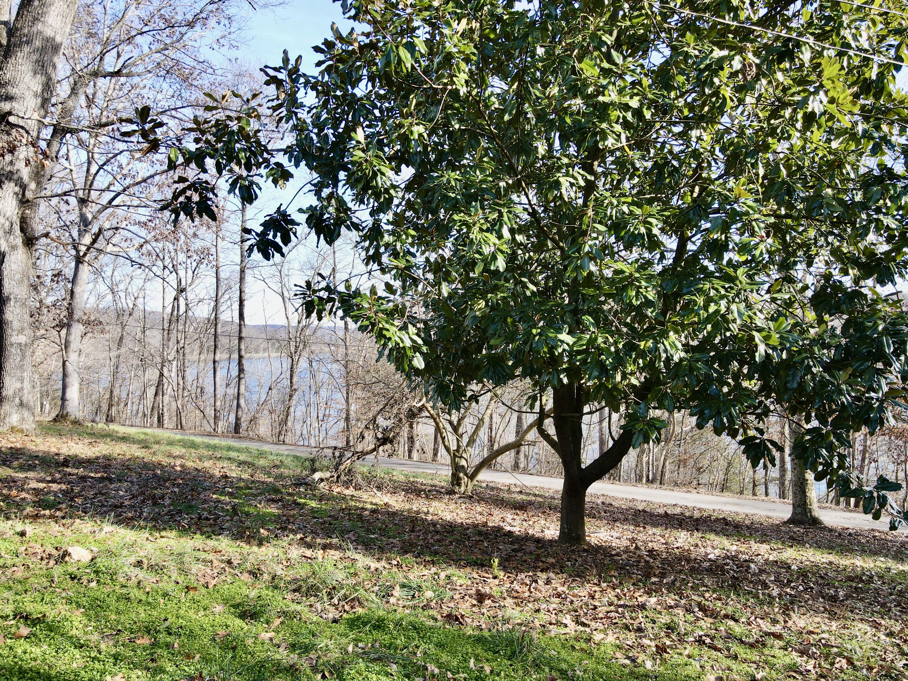 207 Overlake Road Mount Vernon, KY 40456 - Photo 24 of 47 DJI_0517