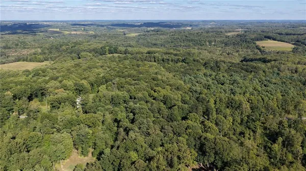 a bird view of a garden