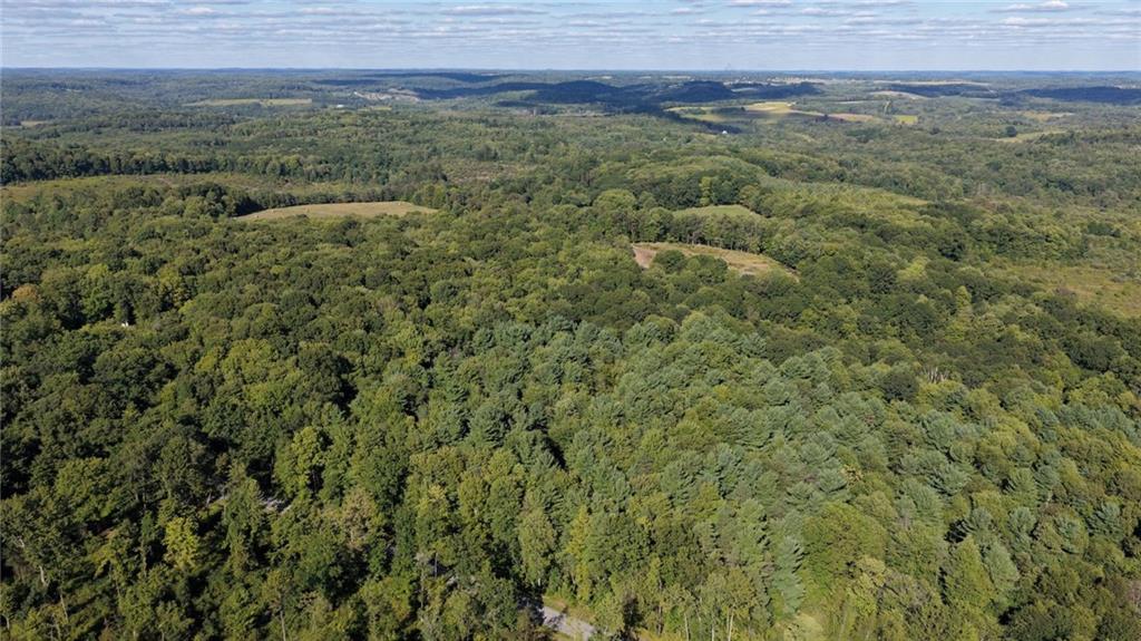 0 Kuzma Road West Sunbury, PA 16061 - Photo 5 of 13 a view of a field of grass and mountain view