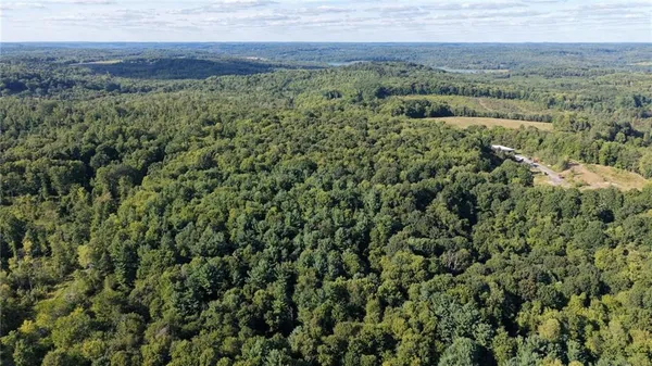 a view of a field with a lush green forest