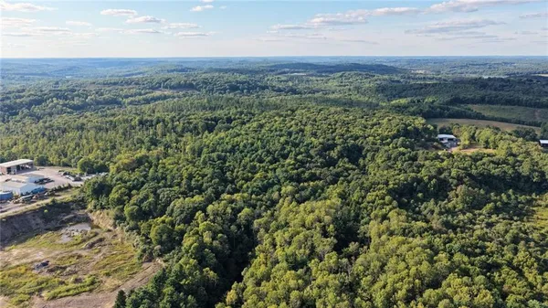 a view of a city with lush green forest