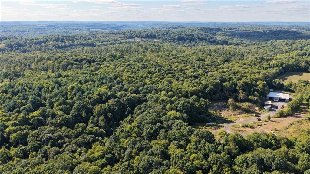 0 Kuzma Road West Sunbury, PA 16061 - Photo 10 of 13 a view of a bunch of trees and bushes