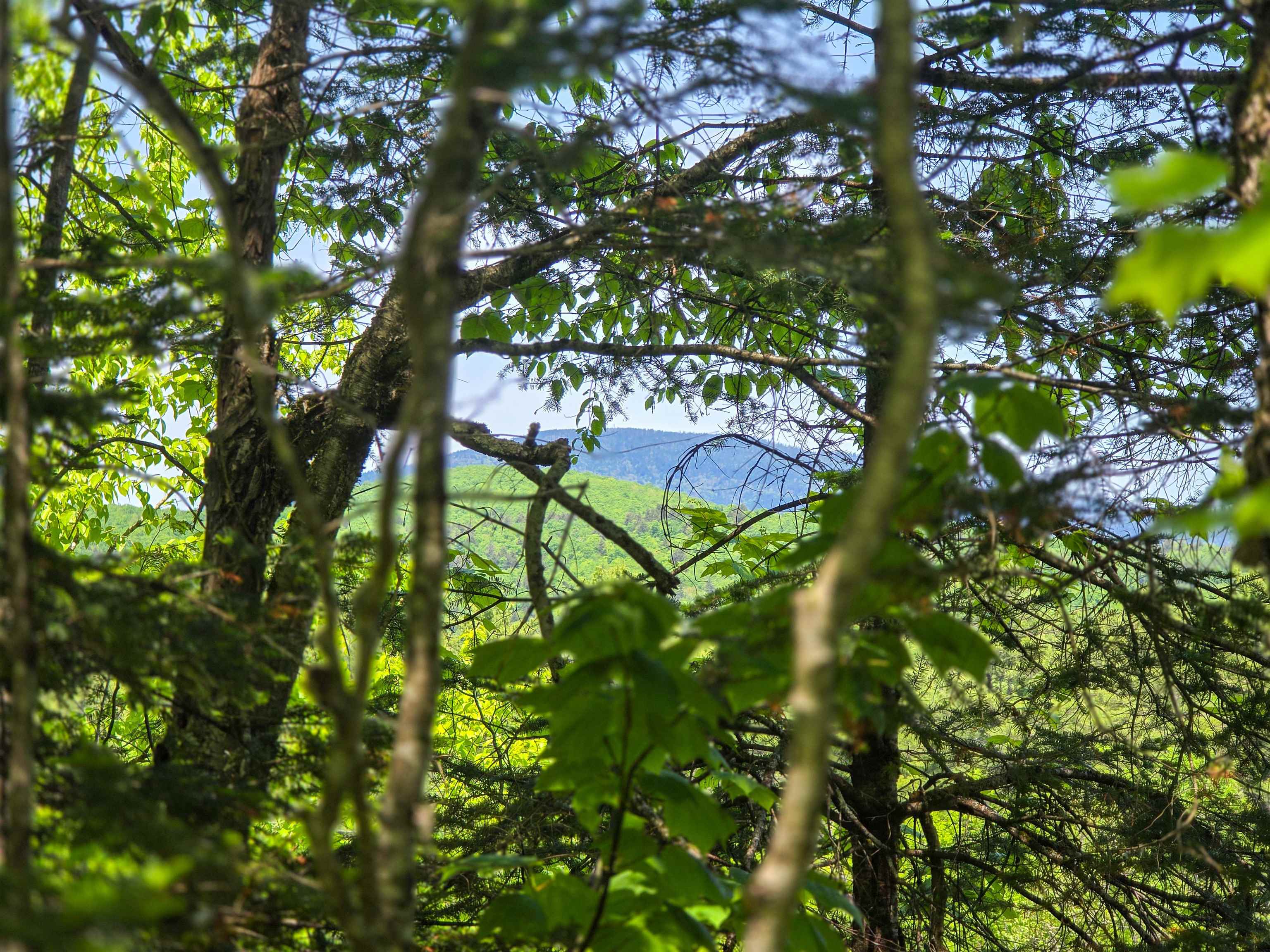 150 Spur Road Bloomfield, VT 05905 - Photo 11 of 55