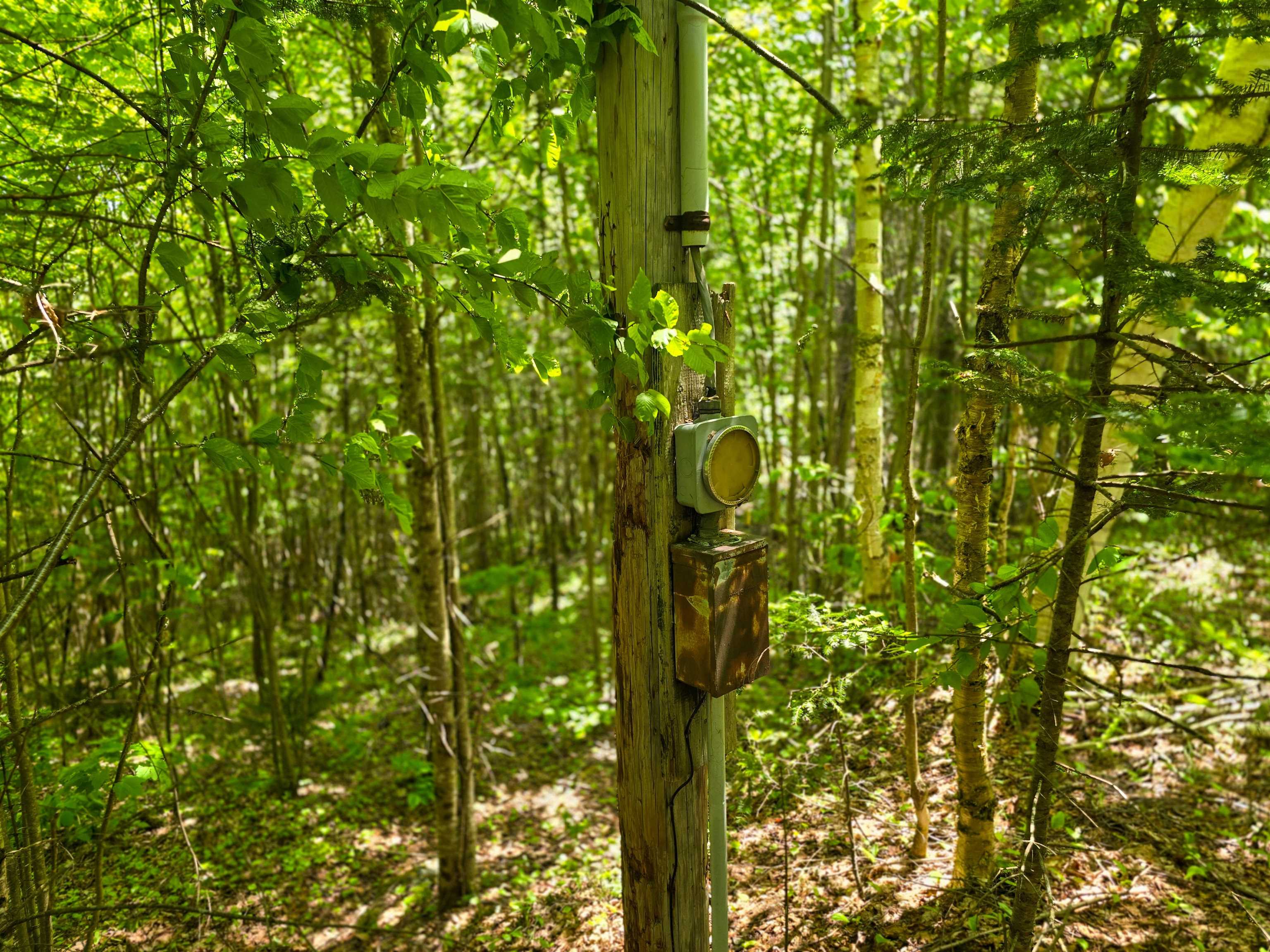150 Spur Road Bloomfield, VT 05905 - Photo 18 of 55