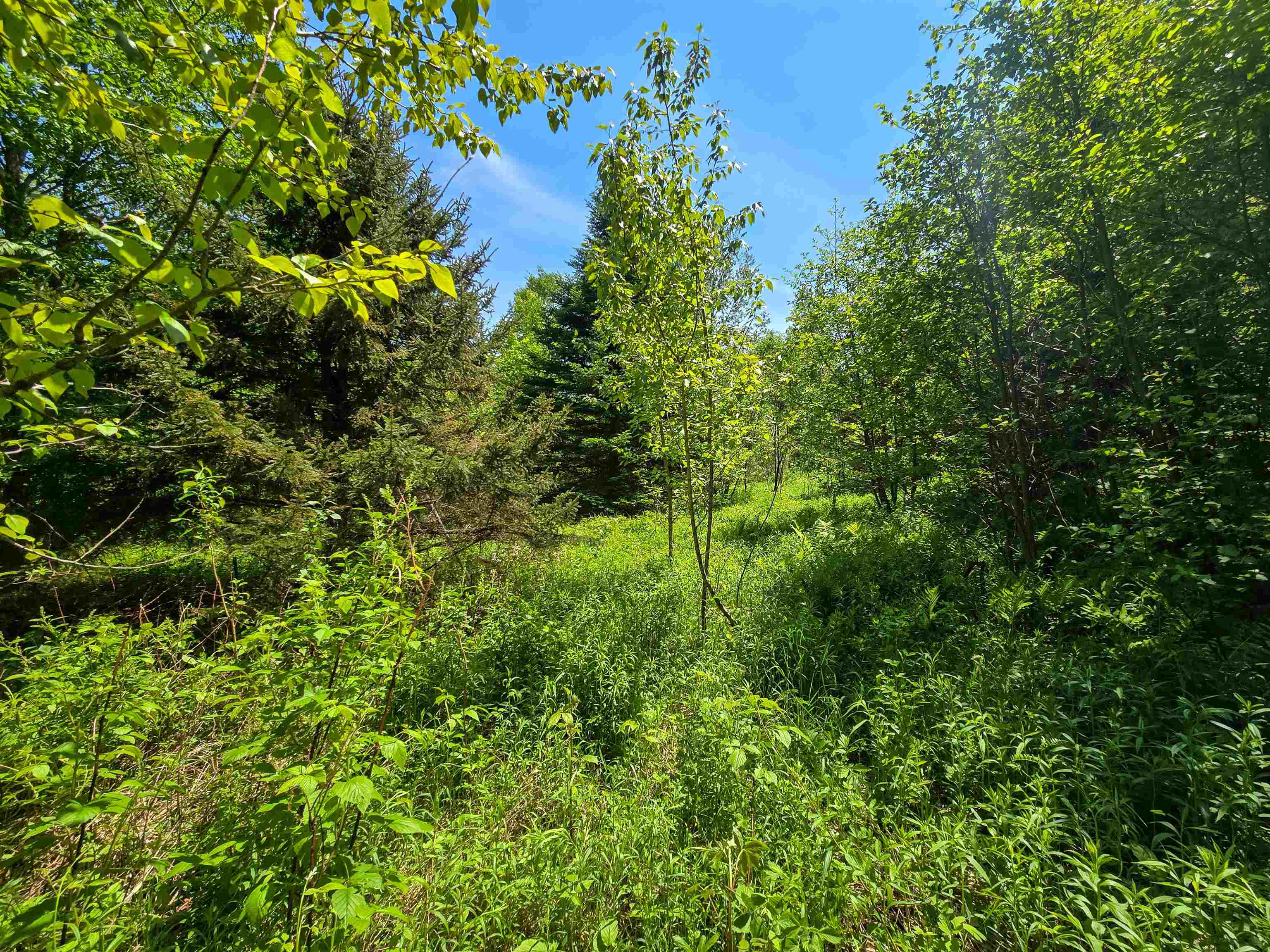 150 Spur Road Bloomfield, VT 05905 - Photo 26 of 55