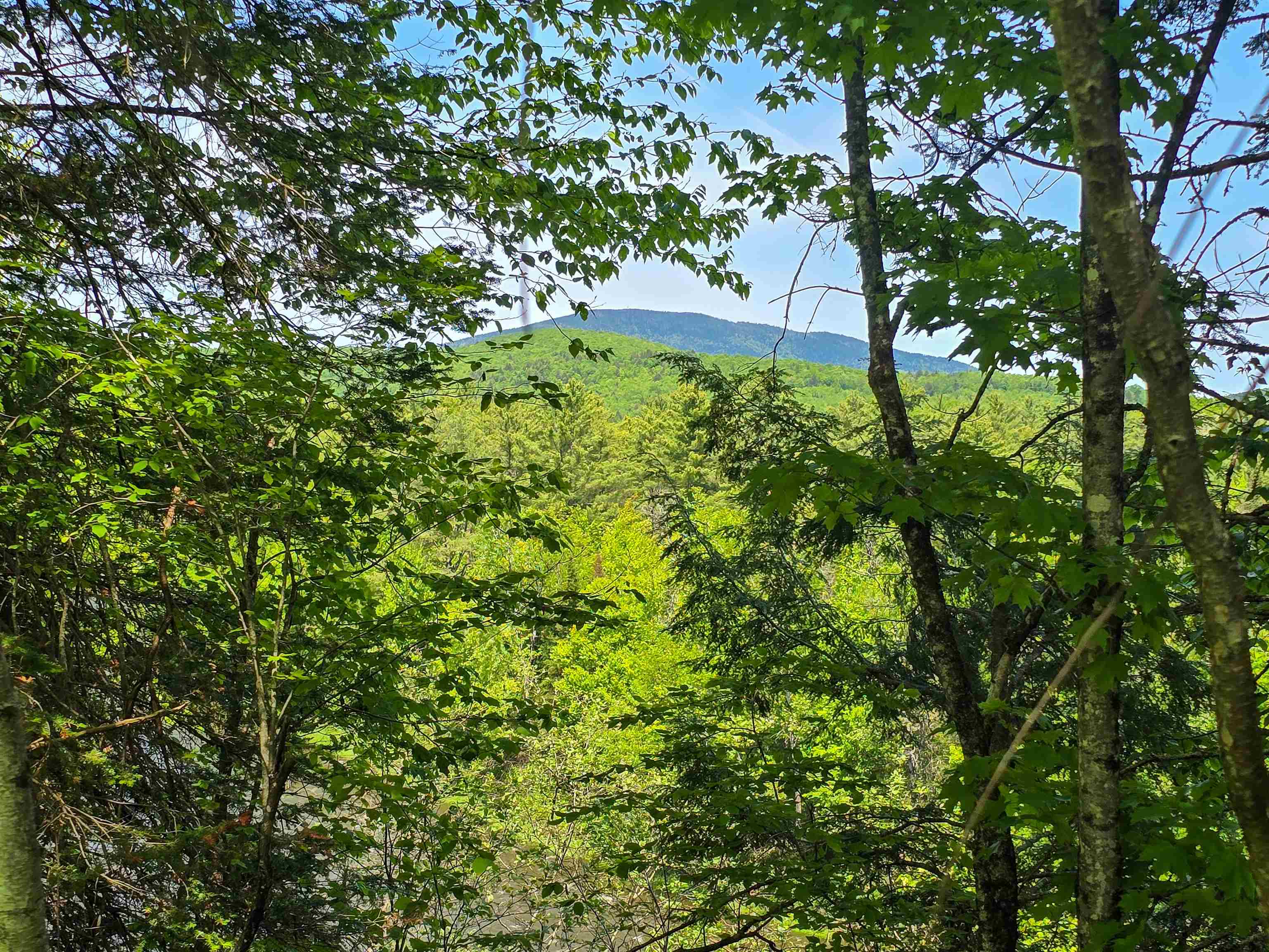 150 Spur Road Bloomfield, VT 05905 - Photo 3 of 55