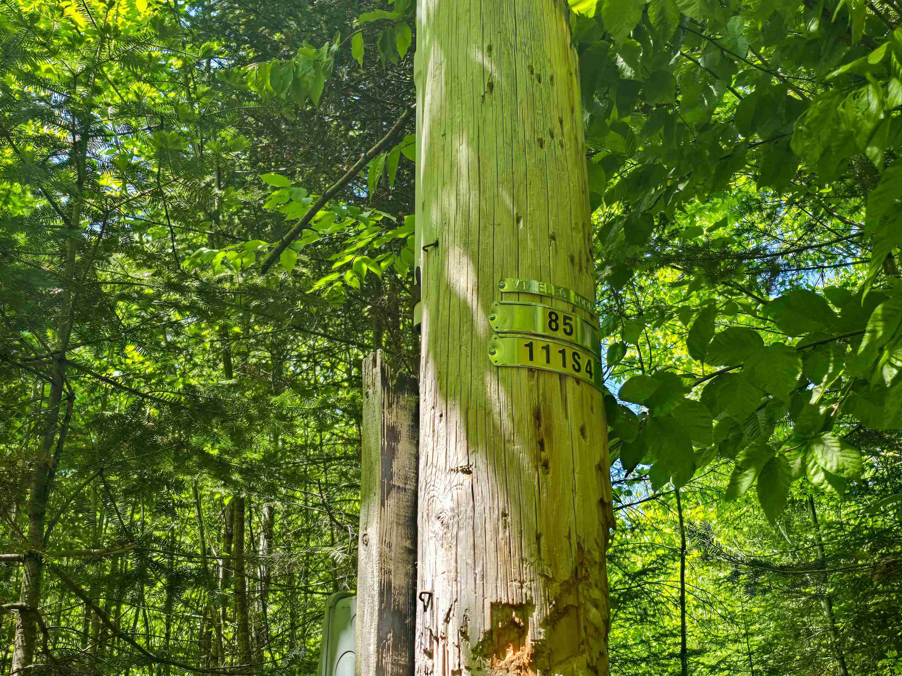 150 Spur Road Bloomfield, VT 05905 - Photo 41 of 55