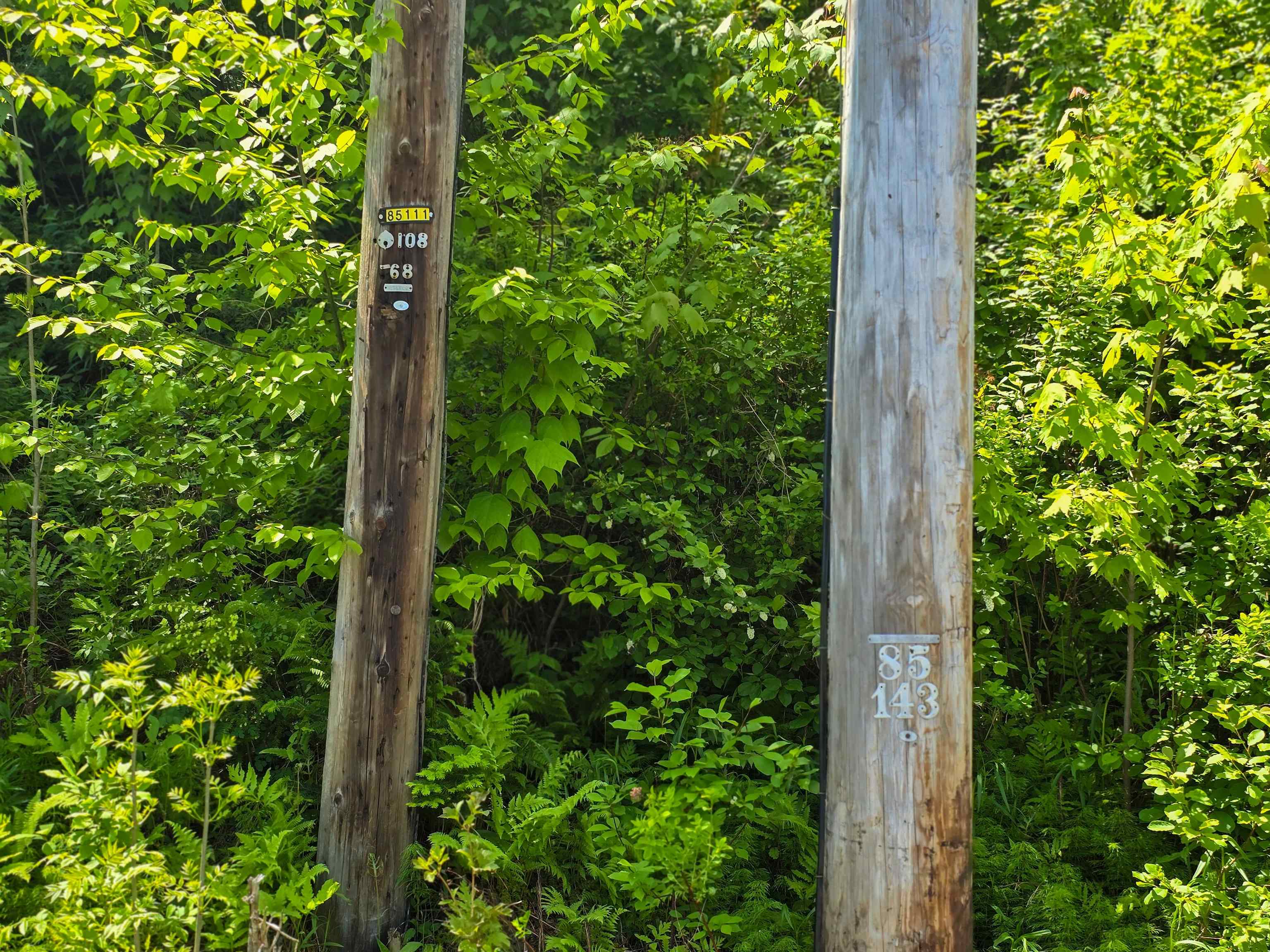 150 Spur Road Bloomfield, VT 05905 - Photo 42 of 55