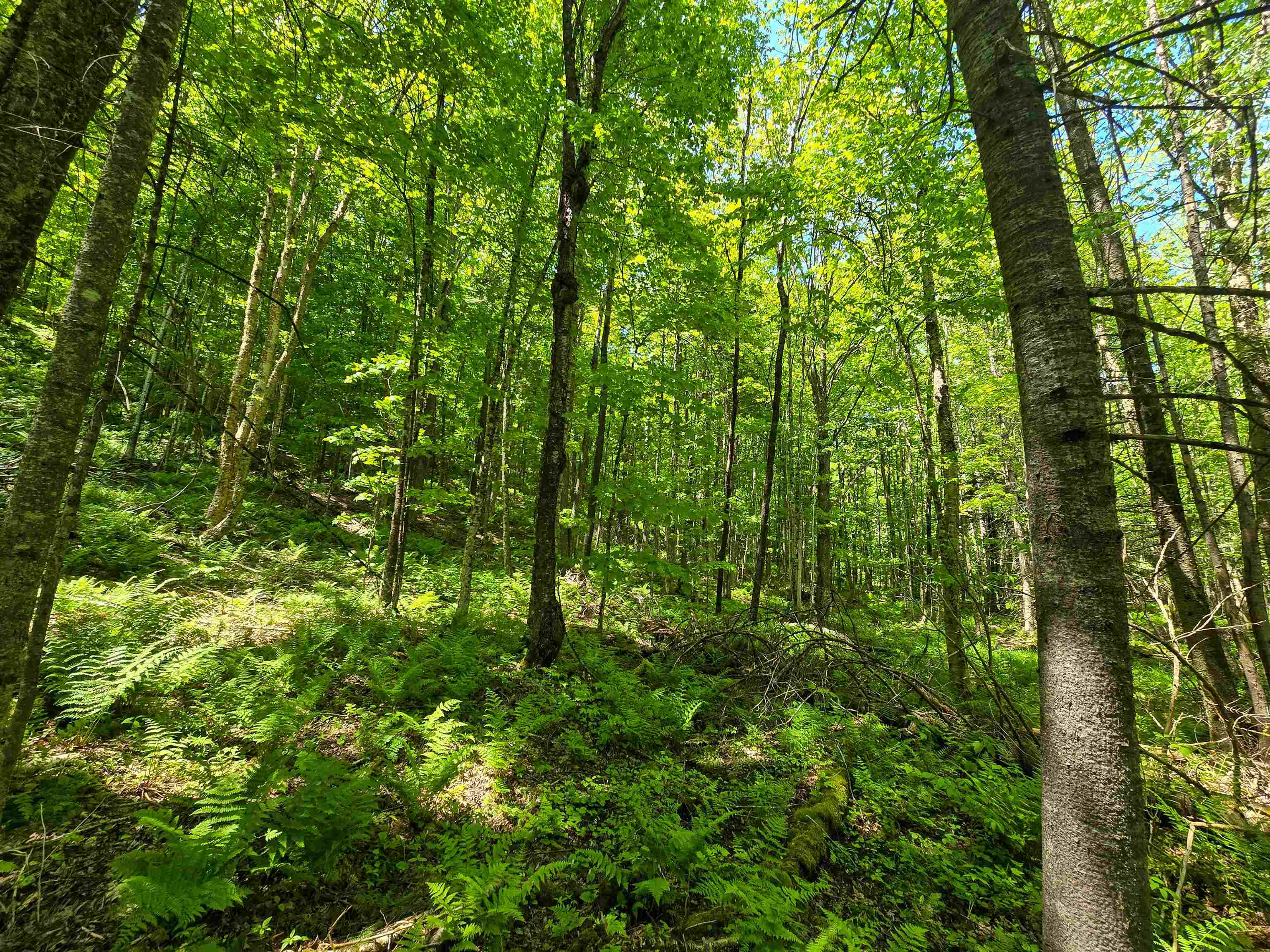 150 Spur Road Bloomfield, VT 05905 - Photo 43 of 55