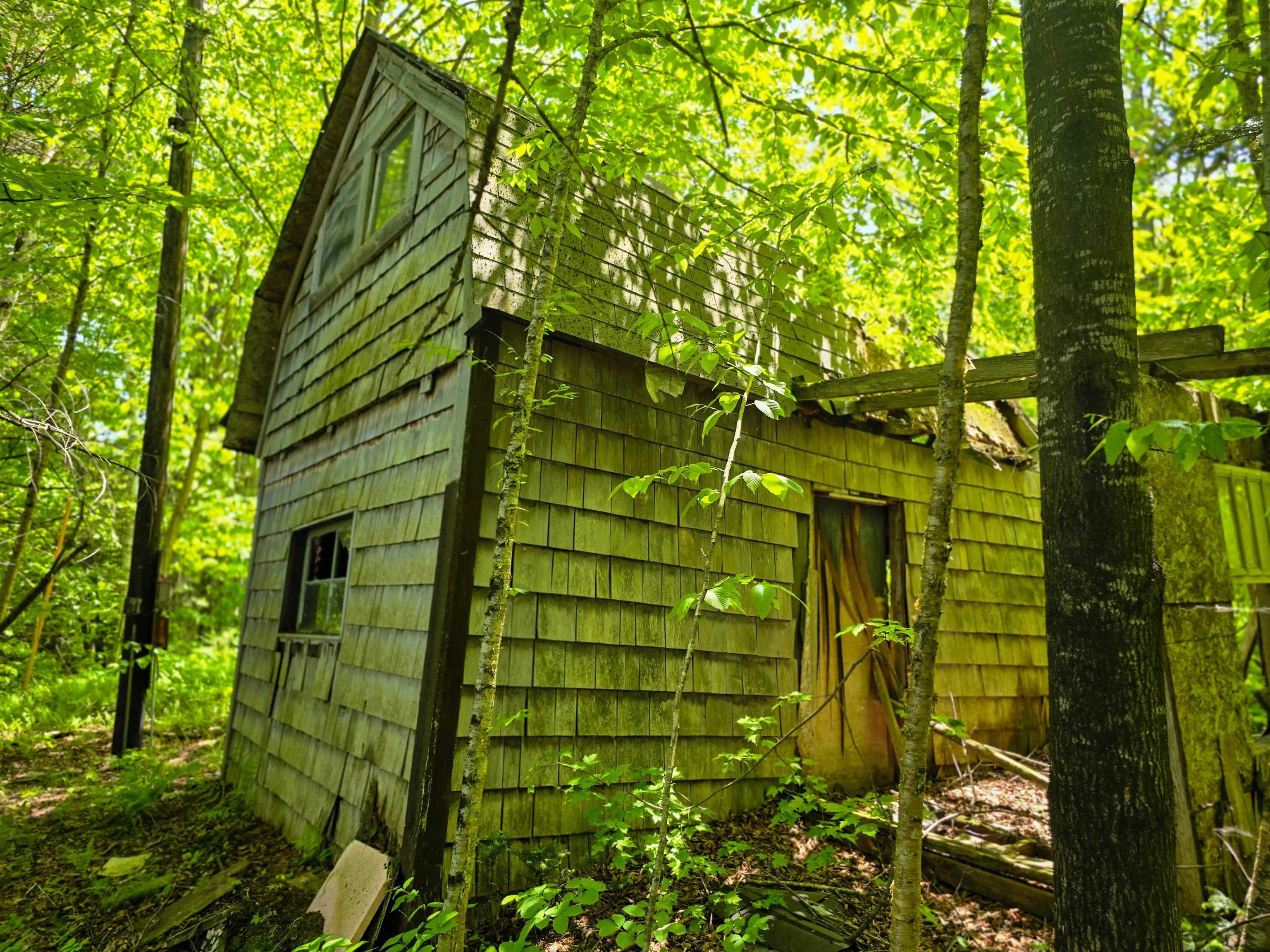 150 Spur Road Bloomfield, VT 05905 - Photo 44 of 55
