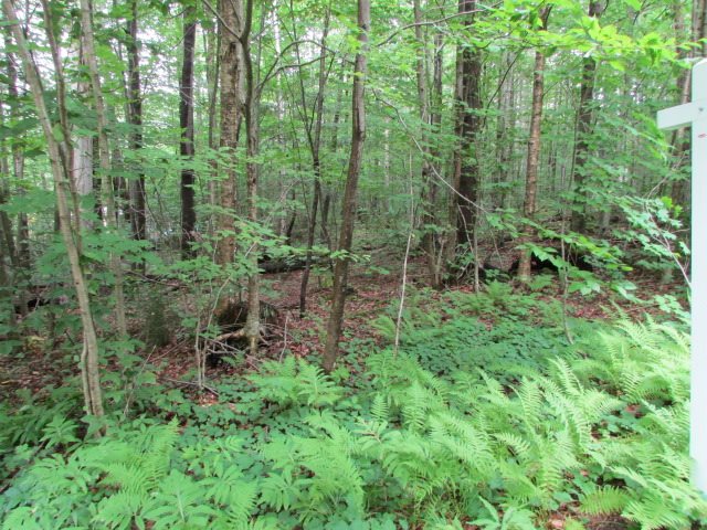 25 Phillips Hill Road, Unit LOT 8B Halifax, VT 05342 - Photo 3 of 3