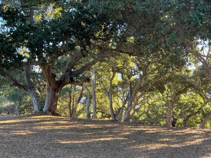 $1,495,000 | 70 Chamisal Pass, Carmel, CA 93923